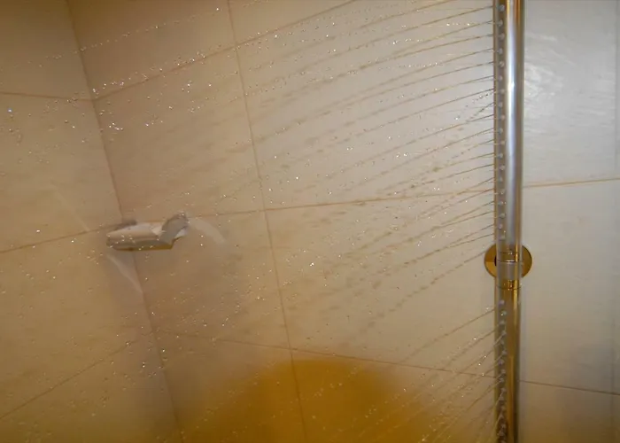 Centre Sauna 2 שאמוני